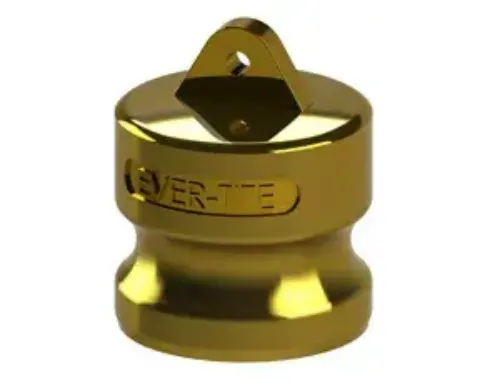 Picture of 3/4 DUST PLUG BRASS ETC MS27029-4