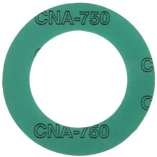Picture of GASKET, CNA 750, 6.000" 300# RF